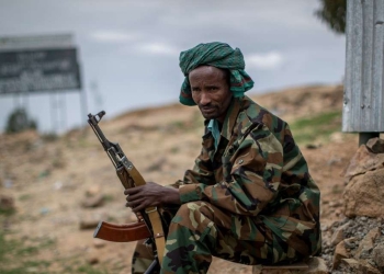 Soldato del Fronte popolare di liberazione del Tigray (LaPresse)