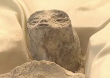 Congresso Ufo in Messico (screen da Twitter)