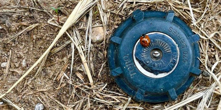 Mina antiuomo (Twitter)