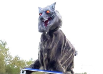 Lupi robot in Giappone, screen da Youtube