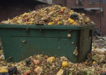 Foto di Pete Linforth da Pixabay