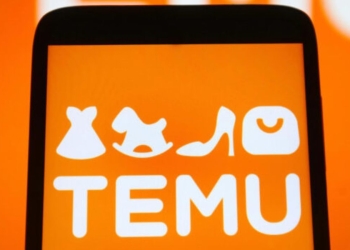 L'e-commerce TEMU (web)