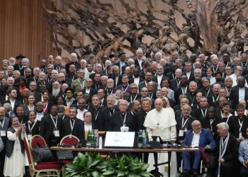 Papa Francesco, Sinodo