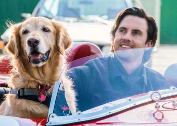 Una scena del film in prima serata su Canale 5