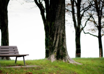 11 novembre 2023, Single's Day