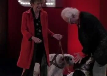 Bibì e Klimt, cani di Giampiero Mughini. (Foto: Web)