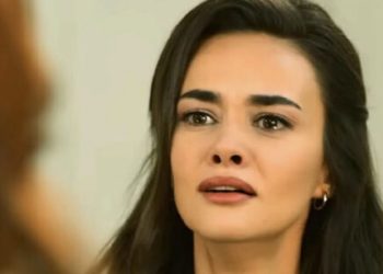 Terra amara (foto: web)