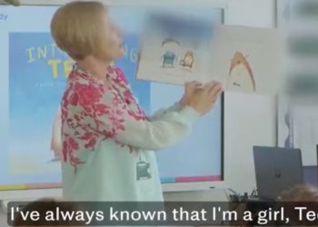 Lezione sull'orsacchiotto trans nel Regno Unito