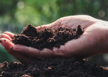 Agricoltura 4.0 ABACO