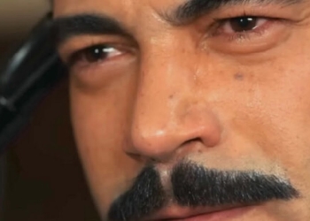 Terra amara (foto: web)