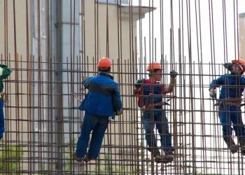 Foto di Peggy und Marco Lachmann-Anke da Pixabay