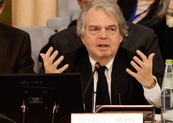 Renato Brunetta, Cnel