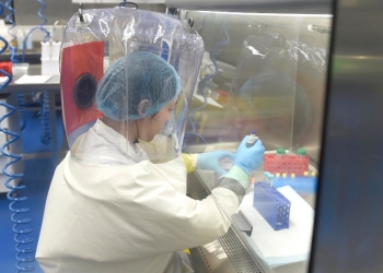 Immagine di repertorio (Foto: Ansa, 2017)