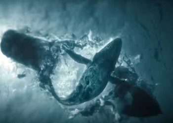 The Swarm - Il quinto giorno (foto: web)