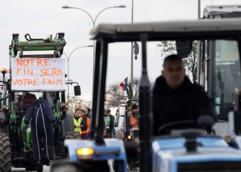 Agricoltori protestano in Francia (Ansa)