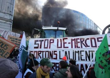 Le proteste degli agricoltori a Bruxelles (Ansa)