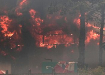 Incendi in Cile (Ansa, 2024)