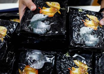 Droga, metanfetamina