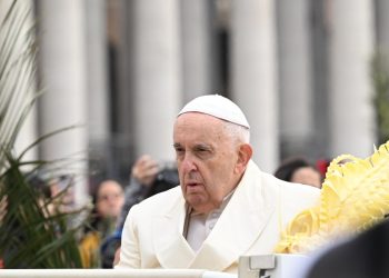 Papa Francesco, Domenica Palme
