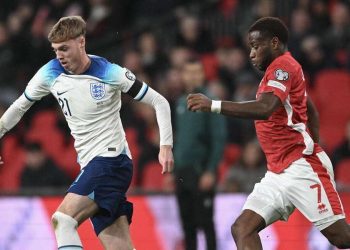 Diretta Inghilterra Belgio, amichevole (Foto ANSA)