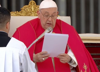 Papa Francesco, messa Domenica Palme