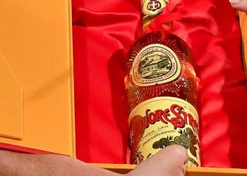 Il Premio Strega nelle mani di Helena Janeczek, vincitrice nel 2018 (Ansa)