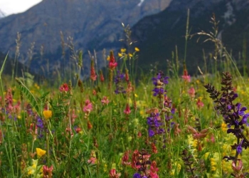 (Foto di Valentina Bergero)