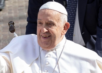 Papa Francesco (Ansa)