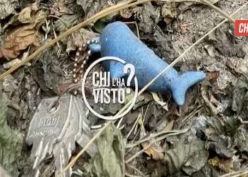 Il mazzo di chiavi trovato durante le ricerche di Mara Favro (Foto: Chi l'ha visto?)