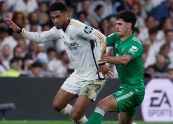 Bellingham Johnny Cardoso