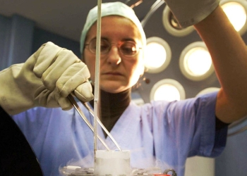 Fecondazione assistita, embrioni