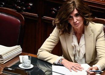 Anna Maria Bernini (Ansa)