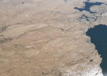 mucillagine nel mare Adriatico
