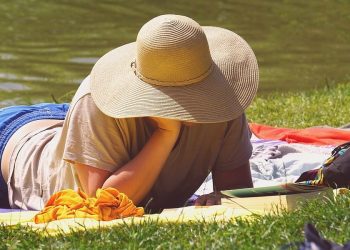 Image by Nowaja from Pixabay