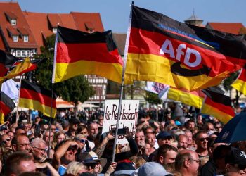 Afd, Germania