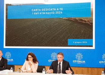 Carta Dedicata a te, governo