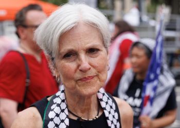 Jill Stein, Elezioni Usa