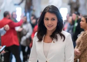 Tulsi Gabbard, democratica fino al 2022 poi indipendente (Ansa)