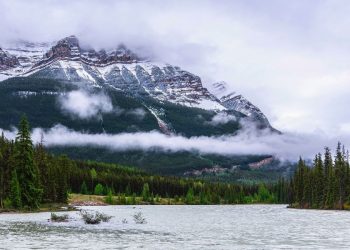 (Pixabay, foto Herman Vyverman)