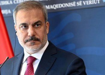 Hakan Fidan, Turchia