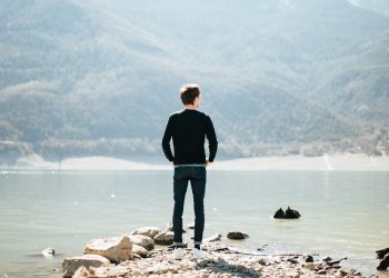 Image by Public Co from Pixabay