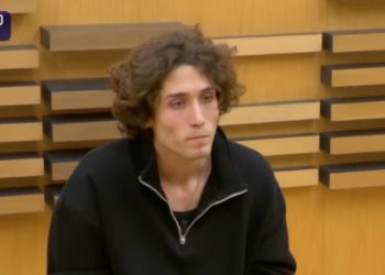 Amici 2024, Diego Lazzari