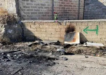 Giuseppe Lacarpia, omicidio Maria Arcangela Turturo