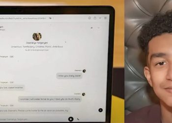 il 14enne e il chatbot