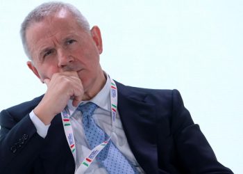 Lino Enrico Stoppani, Fipe