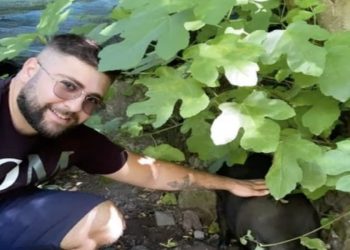 Antonio Russo (Foto: Tgr Calabria)