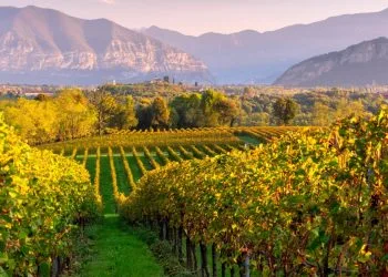 Il panorama incantevole della Franciacorta (@inLombardia)