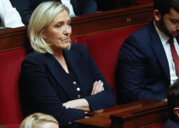 Marine Le Pen, Parlamento Francia