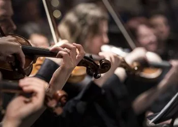 Foto di Pexels da Pixabay