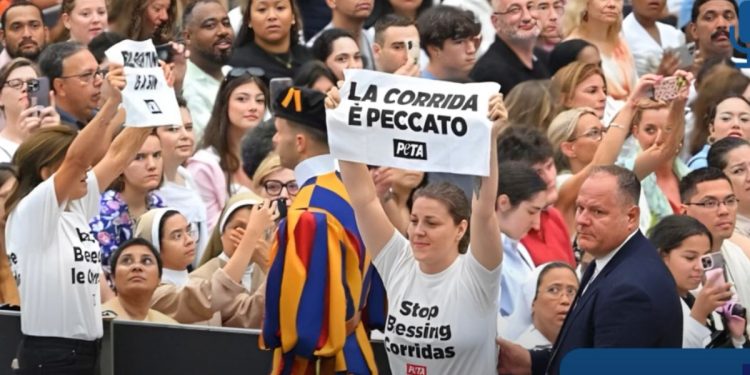 Attiviste anti corrida interrompono l'udienza di Papa Francesco